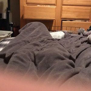 Meet your Posher, Curt